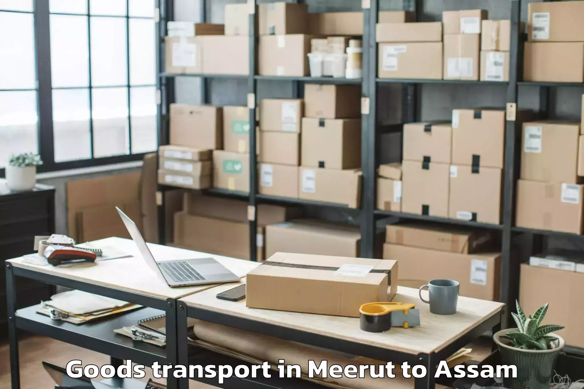 Quality Meerut to Kharupatia Goods Transport